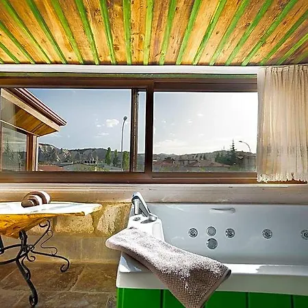 Aysel House